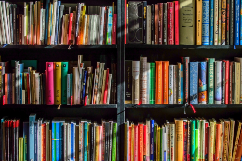 vente-GASSIN-min_books_bookstore_book_reading_shop_writer_sale_books_read-822866